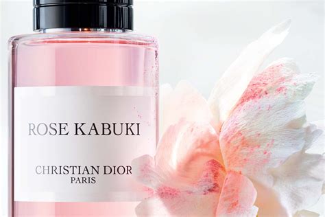 parfum dior rose kabuki|Dior rose kabuki review.